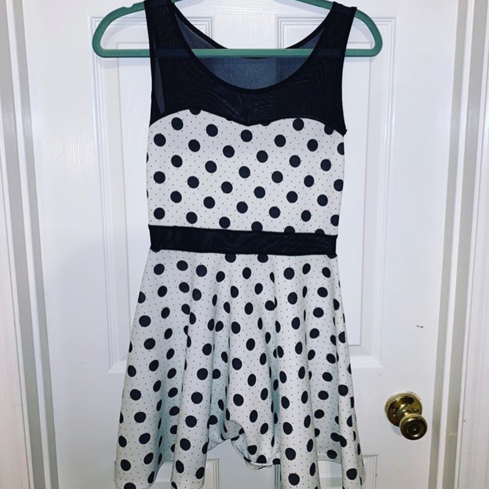 Mesh Polka Dot Skater Dress